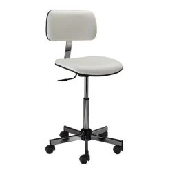 Ergonomische Laboratoriumstoel - Laag - Op Wielen