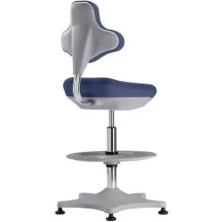 Laboratoriumstoel Hoog Bimos Labster 9101